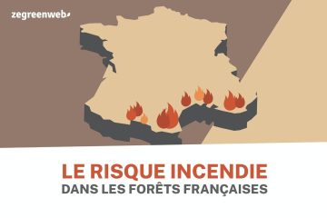 [Infographie] Le risque incendie dans les forêts françaises