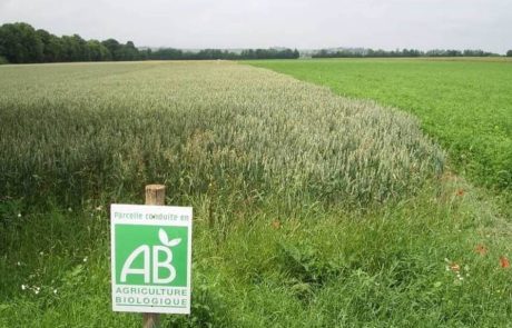 L’agriculture biologique doit se développer pour atteindre des objectifs verts