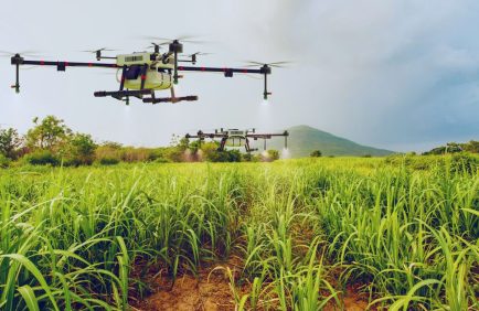 Agriculture de précision : quand l’IA aide à réduire l’usage des pesticides sans perte de rendement