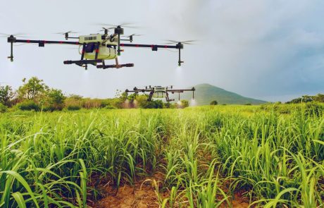 Agriculture de précision : quand l’IA aide à réduire l’usage des pesticides sans perte de rendement