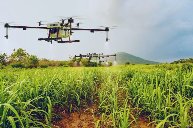 Agriculture de précision : quand l’IA aide à réduire l’usage des pesticides sans perte de rendement