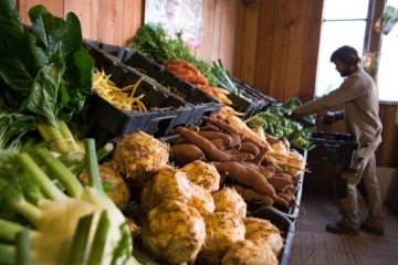 Révolution verte : comment les circuits courts redéfinissent l’agriculture durable