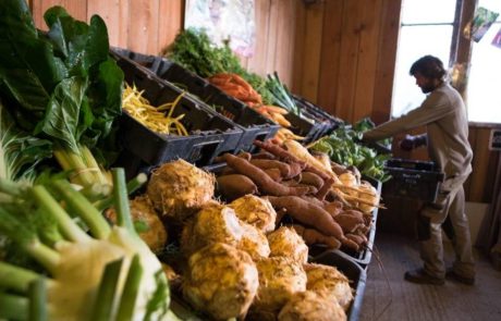 Révolution verte : comment les circuits courts redéfinissent l’agriculture durable