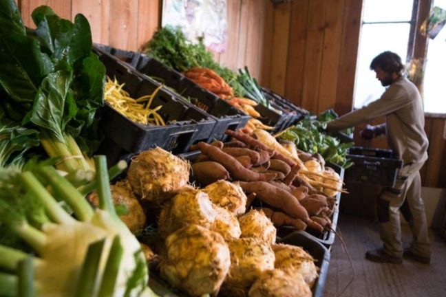 Révolution verte : comment les circuits courts redéfinissent l’agriculture durable