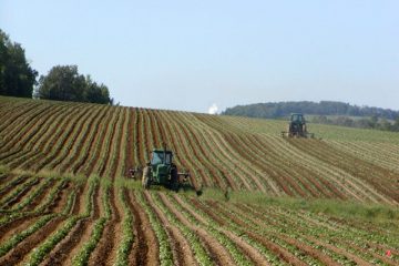 Les agriculteurs de l’UE pourraient obtenir des aides pour réduire les émissions de méthane du bétail