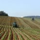 L’agriculture, un secteur primordial pour l’économie et la souveraineté française