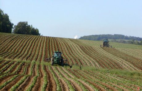 Les agriculteurs de l’UE pourraient obtenir des aides pour réduire les émissions de méthane du bétail