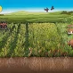 L’agriculture régénérative : une alternative durable aux pratiques conventionnelles