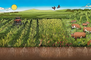 L’agriculture régénérative : une alternative durable aux pratiques conventionnelles