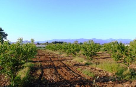 L’agriculture régénérative a le vent en poupe