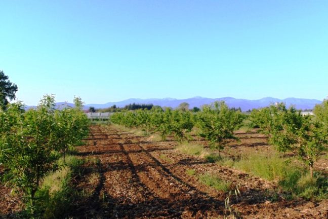 L’agriculture régénérative a le vent en poupe