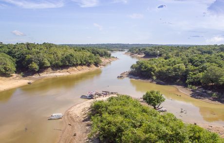 La forêt amazonienne enregistre le niveau d’eau le plus bas depuis 121 ans en raison de la sécheresse