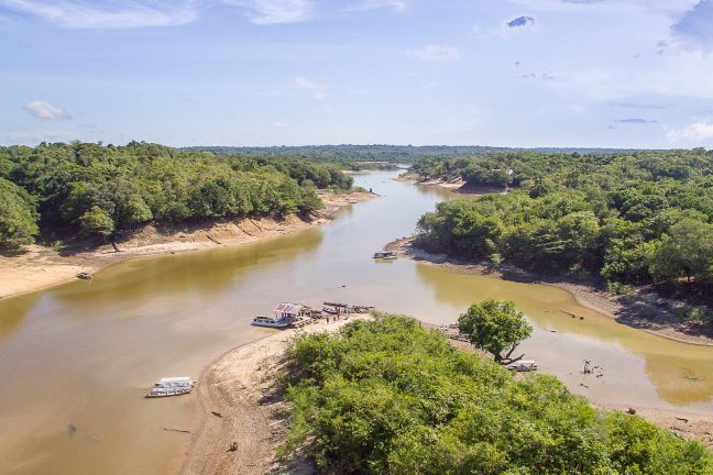 La forêt amazonienne enregistre le niveau d’eau le plus bas depuis 121 ans en raison de la sécheresse