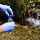 Pesticides dans l’eau potable, une surveillance constante en France