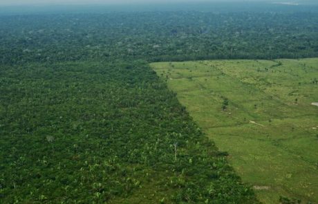 La BNP cessera de financer les entreprises exploitant des terres déboisées en Amazonie