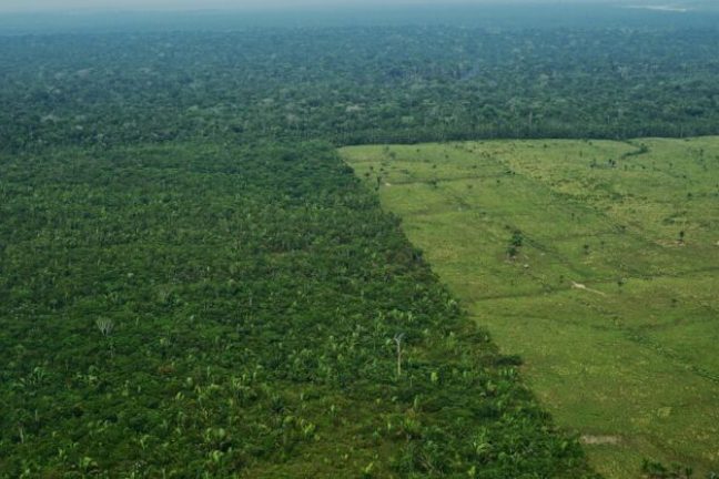 La BNP cessera de financer les entreprises exploitant des terres déboisées en Amazonie