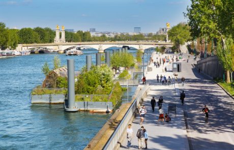 La Seine retrouve vie grâce aux efforts de dépollution