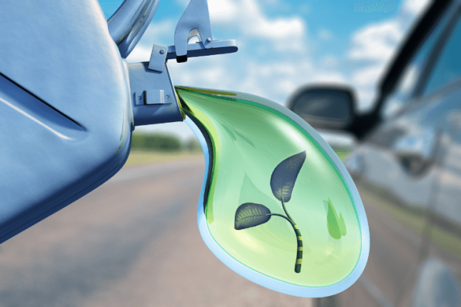 Les avancées de la bioénergie : une alternative durable pour la transition énergétique