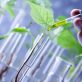 Les biotechnologies pour la dépollution des sols agricoles