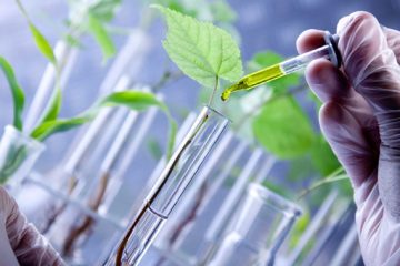 Les biotechnologies pour la dépollution des sols agricoles