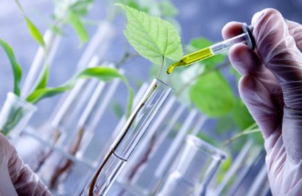 Les biotechnologies pour la dépollution des sols agricoles