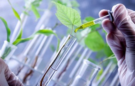Les biotechnologies pour la dépollution des sols agricoles
