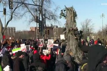 Des militants déguisés en oiseaux et en arbres se mobilisent pour la nature à la COP15 à Montréal