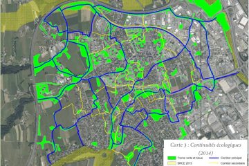 Les villes commencent à mesurer leur impact réel sur la biodiversité locale
