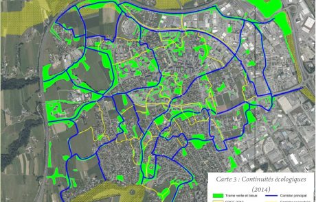 Les villes commencent à mesurer leur impact réel sur la biodiversité locale