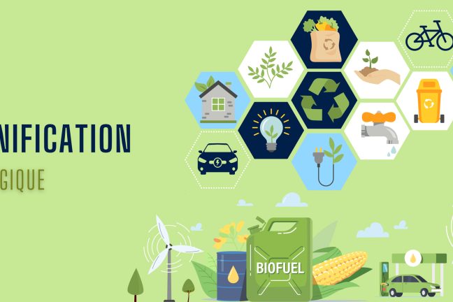 La planification écologique à l’échelle locale : entre ambition et mise en œuvre