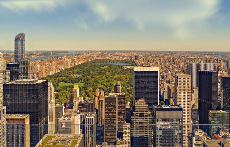 Central Park à New York, un « laboratoire » pour étudier le changement climatique