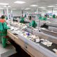 Recyclage des emballages plastiques, des progrès à relativiser