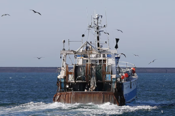 Pêche européenne : les quotas face au choc climatique