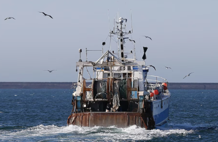Pêche européenne : les quotas face au choc climatique