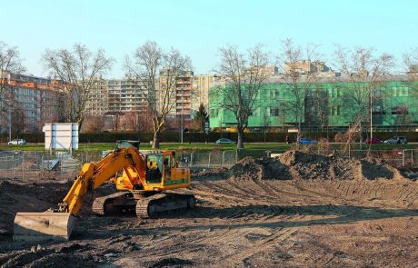 Les sols urbains pollués freinent la reconquête écologique des villes