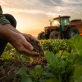 Loi d’urgence agricole : un accord trouvé en commission mixte paritaire avant le vote final du Parlement