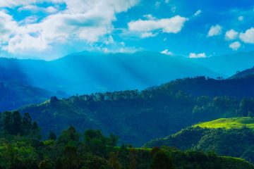 Colombie : le drame silencieux de la déforestation intensive