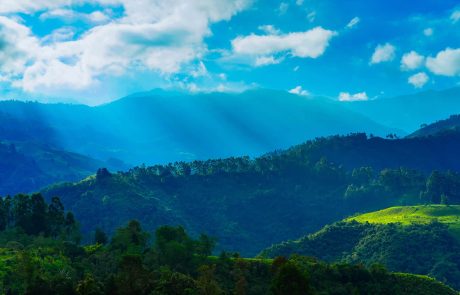 Colombie : le drame silencieux de la déforestation intensive