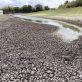 L’eau douce, une ressource sous tension au niveau mondial