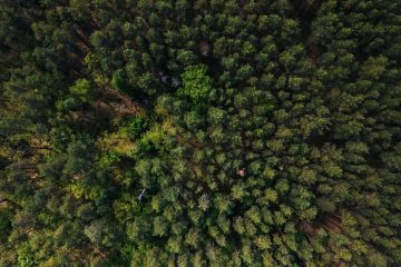 Dans les forêts françaises, les forestiers victimes d’agressions
