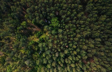 Dans les forêts françaises, les forestiers victimes d’agressions