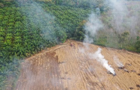 Axa Investment Managers étend ses exclusions de financement à la déforestation