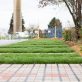 La renaturation des sols urbains imperméabilisés : reconstruire des fonctions écologiques en ville