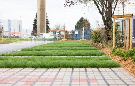 La renaturation des sols urbains imperméabilisés : reconstruire des fonctions écologiques en ville