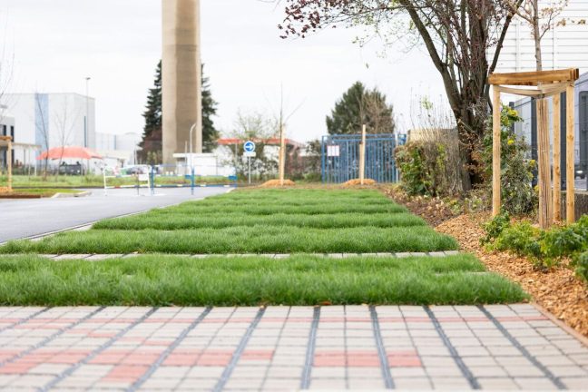 La renaturation des sols urbains imperméabilisés : reconstruire des fonctions écologiques en ville