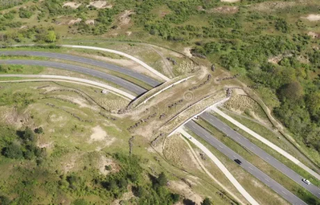 Les passages à faune nouvelle génération redessinent les infrastructures de transport