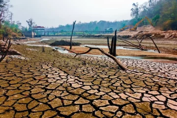 Les seuils climatiques irréversibles à l’échelle locale