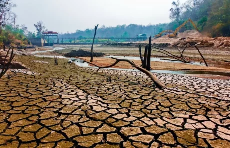 Les seuils climatiques irréversibles à l’échelle locale