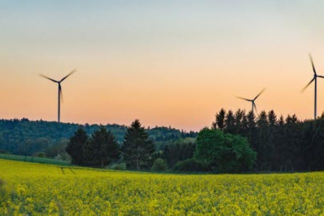 49 % de l’électricité utilisée d’origine renouvelable en Allemagne au premier semestre 2022