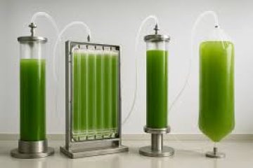 Les protéines fermentées, nouvelle frontière alimentaire ?